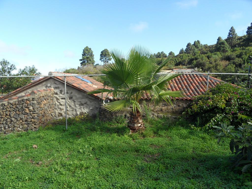 Finca Cueva del Viento Icod De Los Vinos Habitación foto